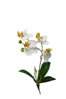Phalaenopsis mit Blatt, 30cm Orchideen Kunstpflanzen