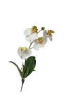 Phalaenopsis mit Blatt, 30cm Orchideen Real Touch...