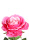 Real Touch Rosen k&uuml;nstlich rosa 68cm