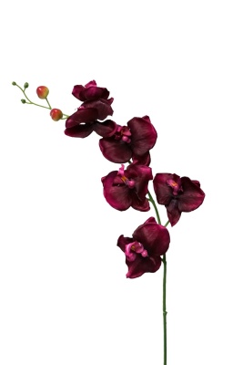 Orchideen künstlich  burgund, 75cm