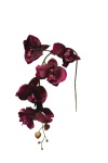 Orchideen k&uuml;nstlich  burgund, 75cm