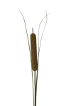 k&uuml;nstliches Schilfkolbengras gr&uuml;n, 110cm / gro&szlig;er Kunstblumenzweig
