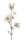künstlicher Dillzweig Kunstblumenzweig weiss 90cm
