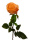 Real Touch Rosen k&uuml;nstlich orange 68cm