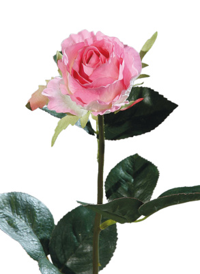 Kunstblumen Rosenknospen weiss rosa, 40cm