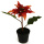 k&uuml;nstliche Weihnachtsstern Topfpflanzen orange 16cm