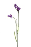 Kunstblumen Freesie lavendel violett 75cm