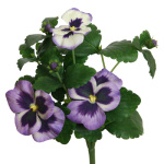 Stiefmütterchenpflanze künstlich / violett, 23cm