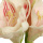 k&uuml;nstliche Amaryllis real touch Blumen 4er Bund 30cm