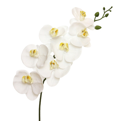 k&uuml;nstlicher Orchideen Zweig Phalaenopsis wei&szlig; 80cm