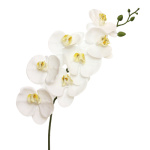 k&uuml;nstlicher Orchideen Zweig Phalaenopsis wei&szlig;...