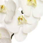 künstlicher Orchideen Zweig Phalaenopsis weiß...
