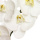 künstlicher Orchideen Zweig Phalaenopsis weiß 80cm
