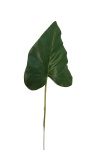 Calatheablatt 17cm / künstliche Blätter