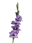 künstliche Gladiole lila 85cm Kunstblumen groß