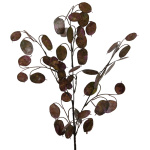 k&uuml;nstliches Silberblatt Lunaria violett 75cm