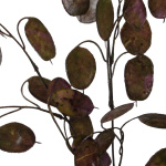 künstliches Silberblatt Lunaria violett 75cm