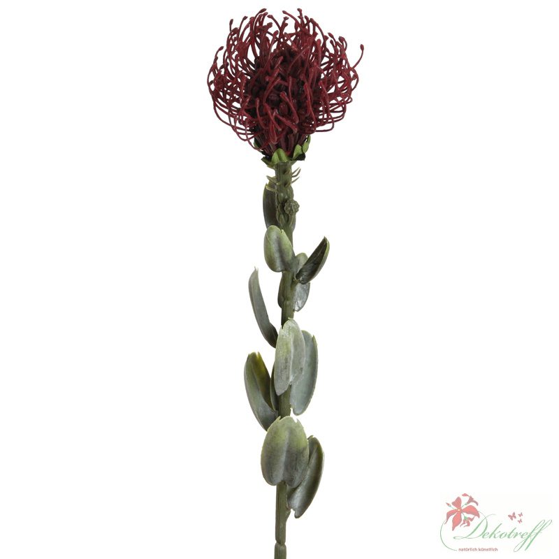 künstliche exotische Protea-Zuckerbüsche 60cm