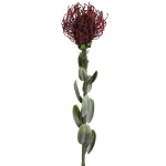 k&uuml;nstliche exotische Protea-Zuckerb&uuml;sche 60cm
