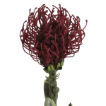 künstliche exotische Protea-Zuckerbüsche 60cm