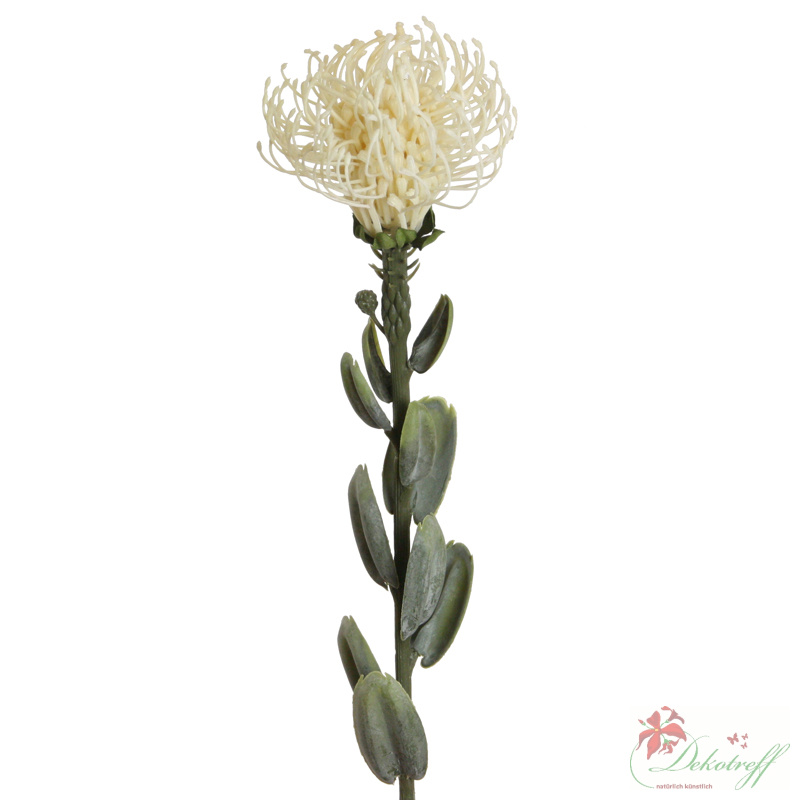 künstliche exotische Protea-Zuckerbüsche weiß 60cm