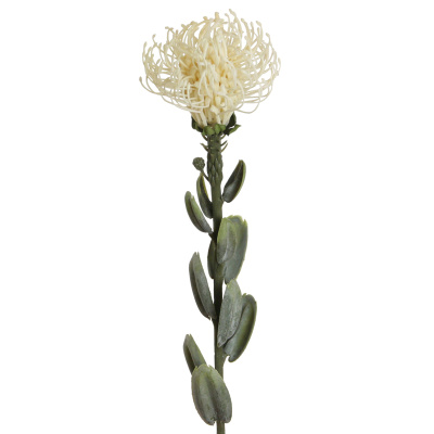 künstliche exotische Protea-Zuckerbüsche weiß 60cm