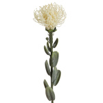 künstliche exotische Protea-Zuckerbüsche...