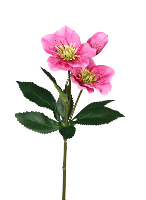 Christrose künstlich rosa 40cm
