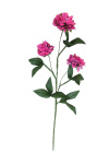 k&uuml;nstlicher Wiesenklee rosa 30cm