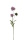 künstliche Wiesenskabiose - Acker-Witwenblume 30cm Plastikfrei
