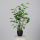 künstliche Grünpflanze Topfpflanze Fiederaralie 90cm