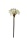 künstliche Amaryllis weiß 50cm