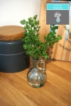 Petersilie Vase mit Kunstwasser - imitiertes Wasser H 24cm k&uuml;nstliche Kr&auml;uter