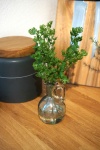 Petersilie Vase mit Kunstwasser - imitiertes Wasser H...