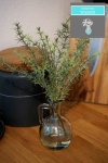 Rosmarin Vase mit Kunstwasser - imitiertes Wasser H 30cm k&uuml;nstliche Kr&auml;uter
