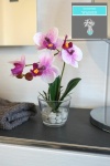 Orchideen Vase mit Kunstwasser - imitiertes Wasser H 20cm...