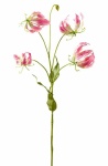 k&uuml;nstliche Gloriosa rosa 80cm exotic