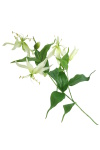 k&uuml;nstliche Gloriosa wei&szlig; 70cm exotic