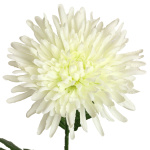 künstliche Chrysantheme weiß 70cm