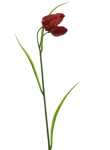 k&uuml;nstliche Fritillaria - Schachblume rot 43cm