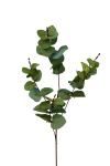 Eukalyptus Bl&auml;tterzweig 60cm Kunstpflanzen