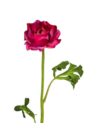 k&uuml;nstliche Ranunkel dunkel rosa 50cm