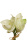 künstliche Amaryllis lind real touch Blumen 4er Bund 30cm