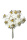 künstlicher Edelweiß Bund 12 Blüten Ø 2cm