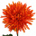 künstliche Chrysantheme orange 70cm