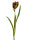 künstliche Fritillaria - Schachblume braun 50cm