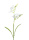 Kunstblume Freesie weiß 65cm