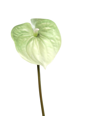 künstliche Anthurie grün 65cm Real Touch Blumen