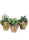künstlicher Kräuter im Jutebeutel 20cm 3er Set - Kunstpflanzen
