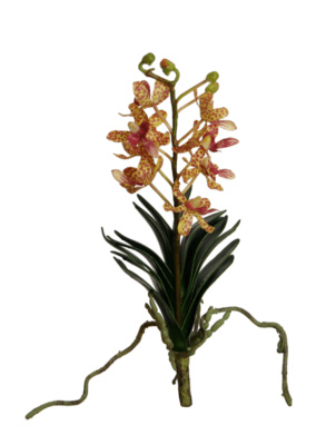 Real Touch Orchideen Vanda Kunstpflanzen 25cm